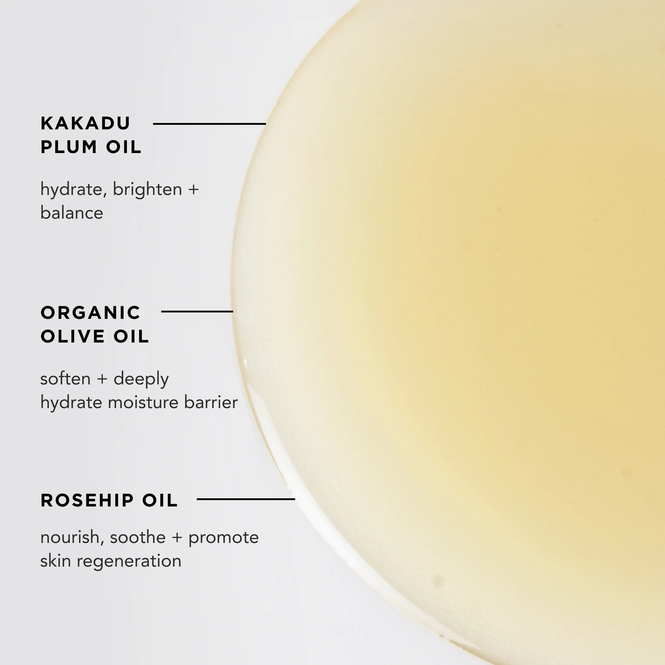 CALM BODY + BATH OIL - Image 3