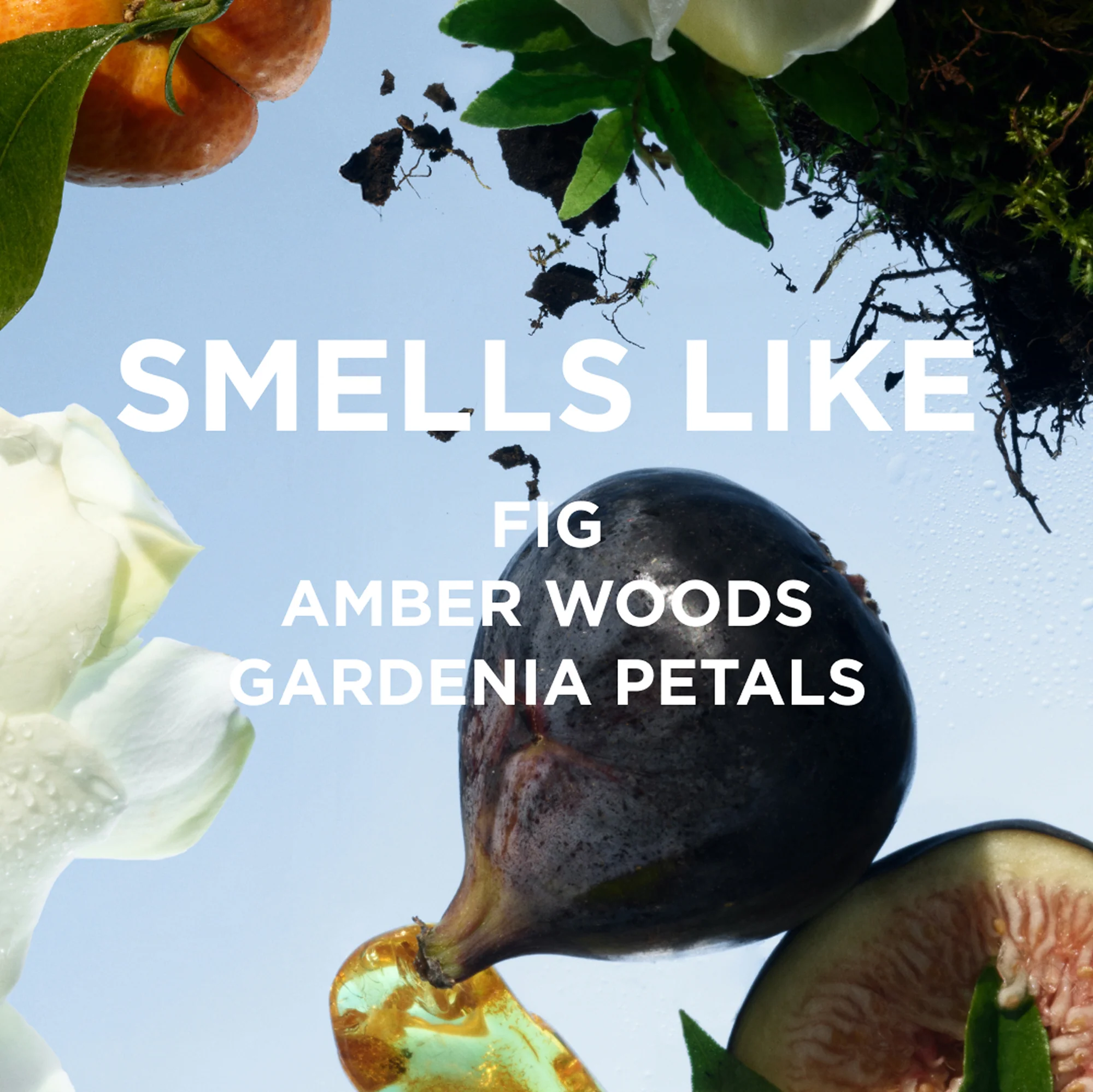 JAMES PERFUME OIL - Image 3