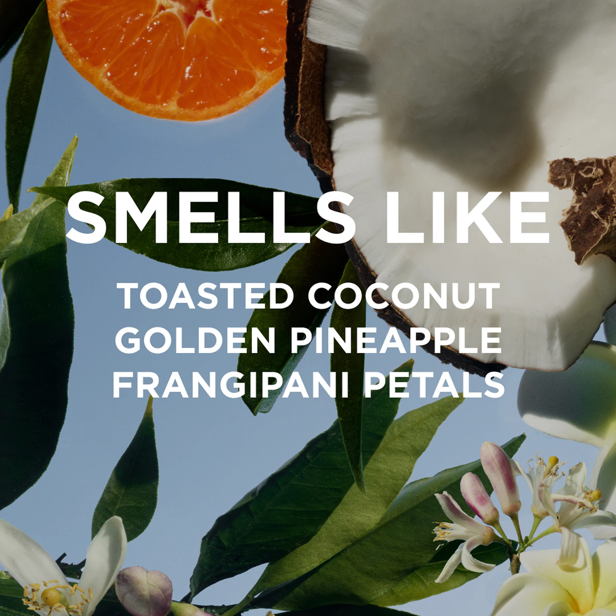 MISSY BODY MILK - Image 3