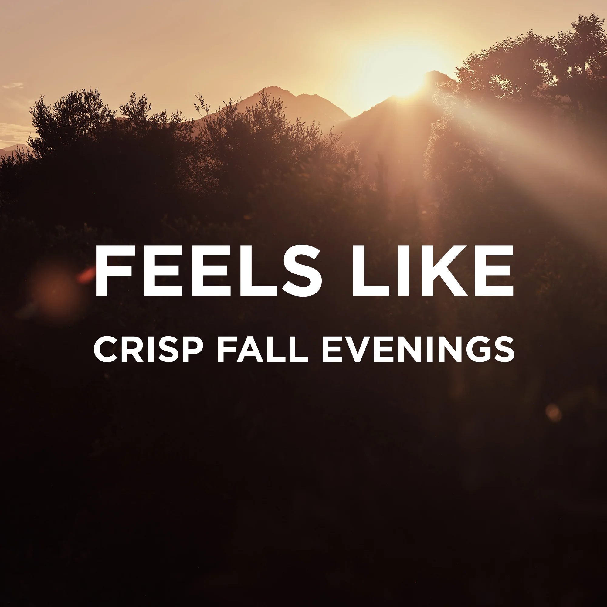 REMI TRAVEL SPRAY - Image 6