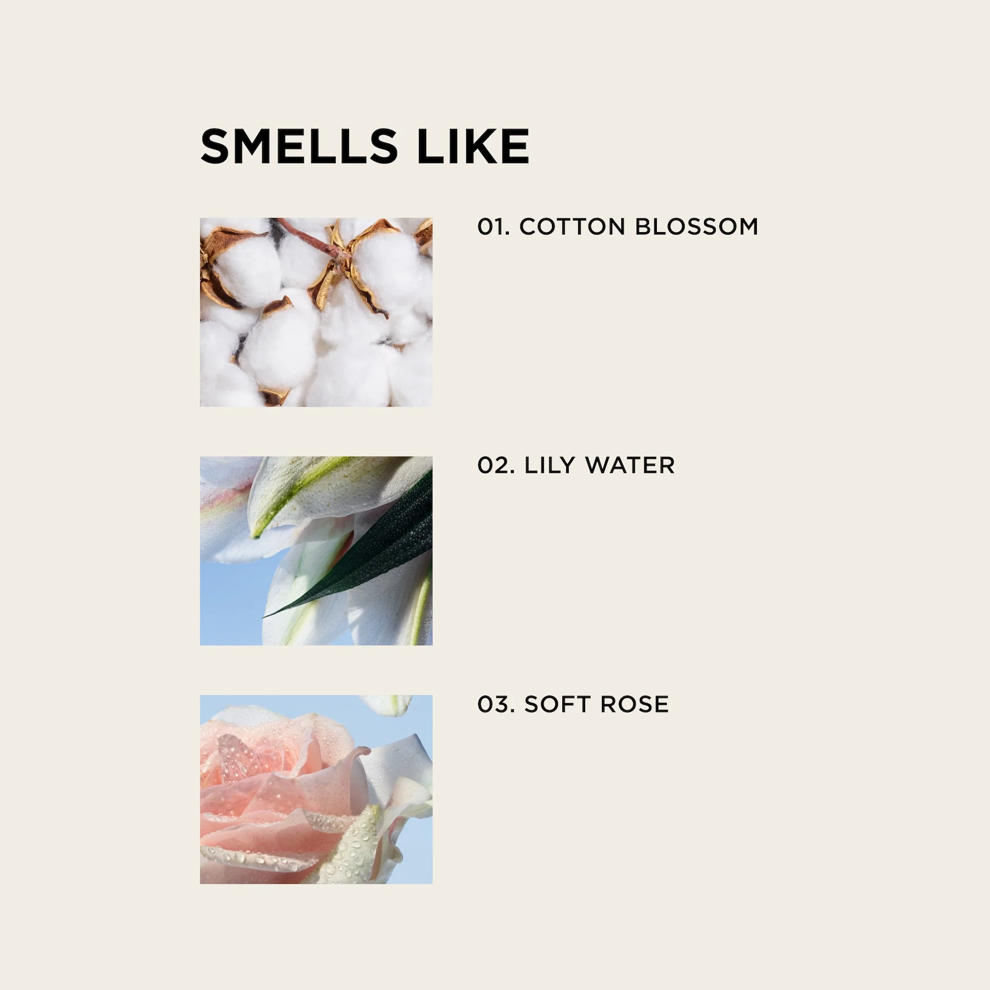 WHITE TEE BODY + HAIR MIST - Image 3